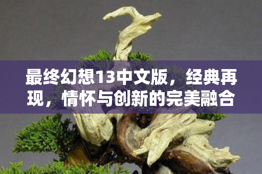 最终幻想13中文版，经典再现，情怀与创新的完美融合，最终幻想13中文版，经典再现，情怀与创新完美融合