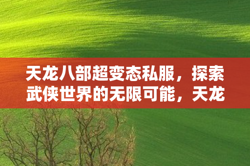 天龙八部超变态私服，探索武侠世界的无限可能，天龙八部超变态私服，解锁武侠世界的无限可能
