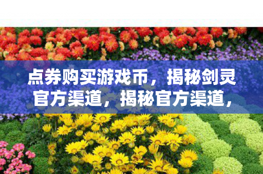 点券购买游戏币,揭秘剑灵官方渠道,揭秘官方渠道,点券购买游戏币,轻松获取剑灵游戏币 点券购买游戏币,揭秘剑灵官方渠道,揭秘官方渠道,点券购买游戏币,轻松获取剑灵游戏币