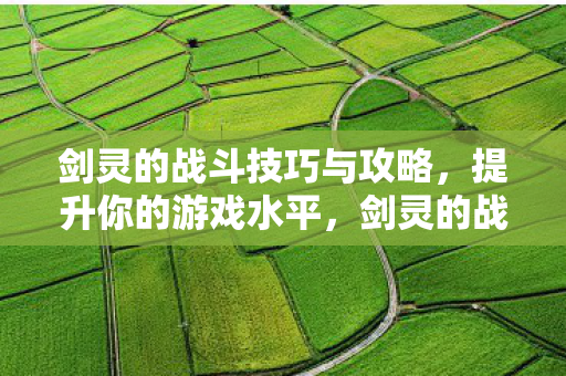 剑灵的战斗技巧与攻略,提升你的游戏水平,剑灵的战斗技巧与攻略,提升你的游戏水平 剑灵的战斗技巧与攻略,提升你的游戏水平,剑灵的战斗技巧与攻略,提升你的游戏水平