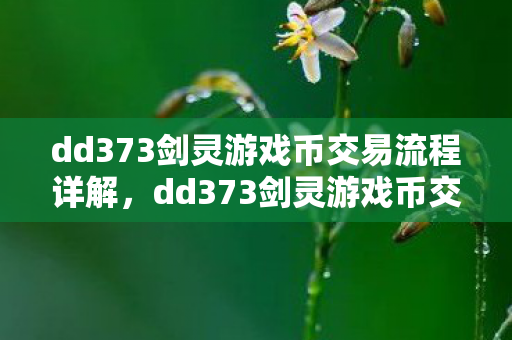 dd373剑灵游戏币交易流程详解,dd373剑灵游戏币交易全攻略,轻松掌握交易流程 dd373剑灵游戏币交易流程详解,dd373剑灵游戏币交易全攻略,轻松掌握交易流程