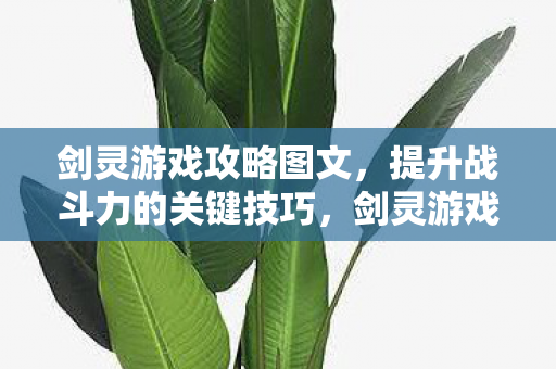 剑灵游戏攻略图文,提升战斗力的关键技巧,剑灵游戏攻略,解锁关键技巧,提升战斗实力 剑灵游戏攻略图文,提升战斗力的关键技巧,剑灵游戏攻略,解锁关键技巧,提升战斗实力