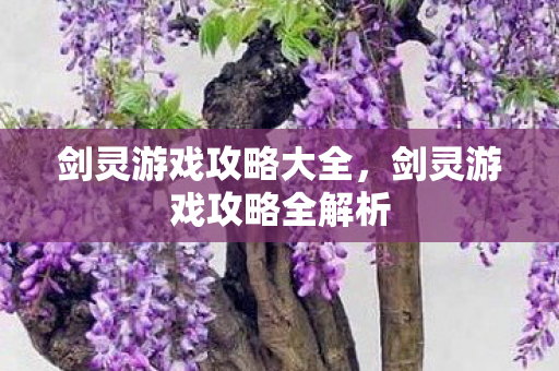 剑灵游戏攻略全解析图片