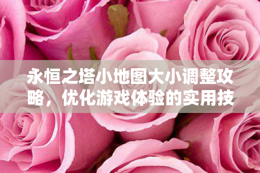 永恒之塔小地图大小调整攻略图片