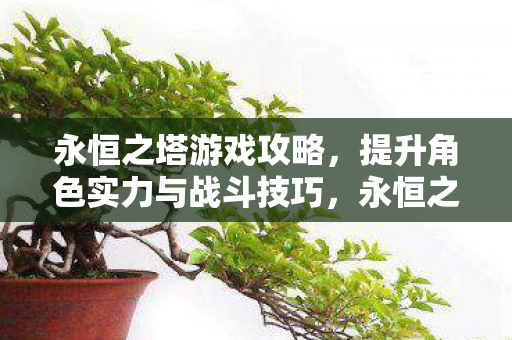 提升角色实力与战斗技巧全攻略图片
