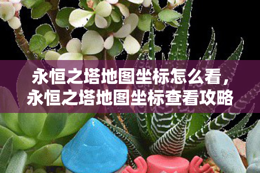 永恒之塔地图坐标查看攻略图片