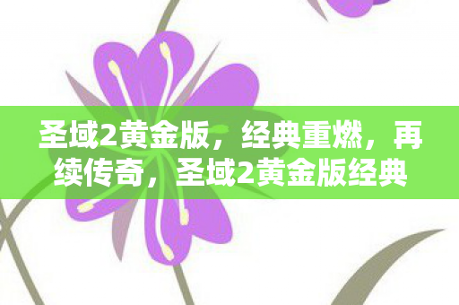 圣域2黄金版，经典重燃，再续传奇，圣域2黄金版经典重燃，续写传奇故事