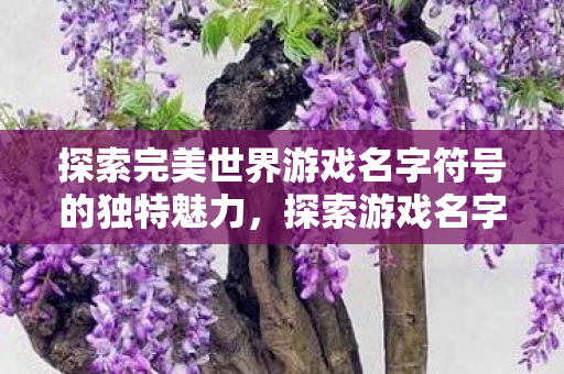 探索完美世界游戏名字符号的独特魅力，探索游戏名字符号的独特魅力，以完美世界为例