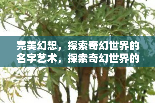 完美幻想，探索奇幻世界的名字艺术，探索奇幻世界的名字艺术，完美幻想