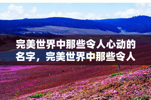 完美世界中那些令人心动的名字，完美世界中那些令人心动的名字