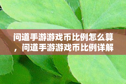 问道手游游戏币比例怎么算图片