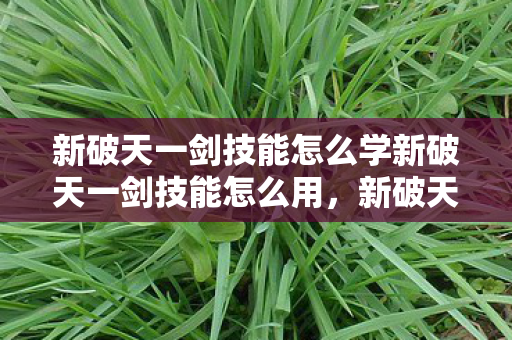 新破天一剑技能怎么学新破天一剑技能怎么用图片