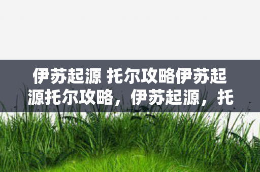 伊苏起源 托尔攻略伊苏起源托尔攻略，伊苏起源，托尔攻略全解析