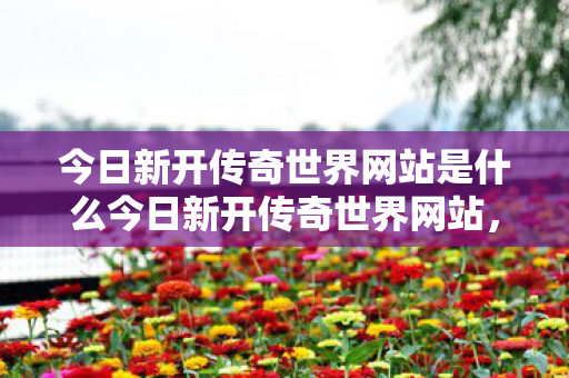 今日新开传奇世界网站是什么今日新开传奇世界网站图片