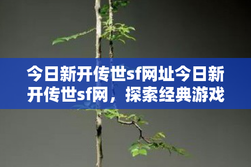 今日新开传世sf网址今日新开传世sf网图片