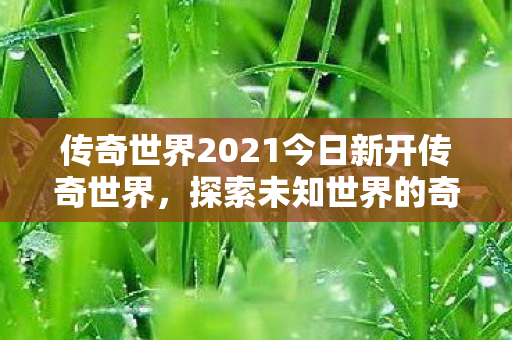 传奇世界2021今日新开传奇世界,探索未知世界的奇妙旅程,2021今日新开传奇世界,探索未知世界的奇妙旅程 传奇世界2021今日新开传奇世界,探索未知世界的奇妙旅程,2021今日新开传奇世界,探索未知世界的奇妙旅程