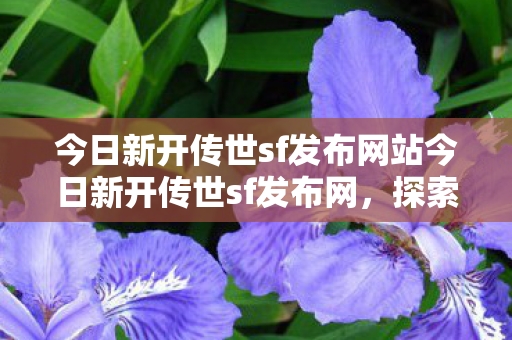 今日新开传世sf发布网站今日新开传世sf发布网图片