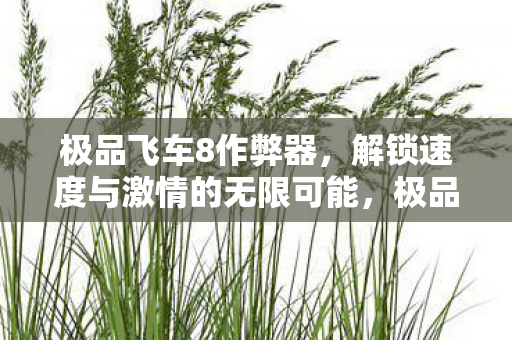 极品飞车8作弊器，解锁速度与激情的无限可能，极品飞车8作弊器，解锁速度与激情的无限可能