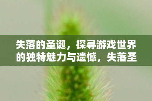 失落的圣诞,探寻游戏世界的独特魅力与遗憾,失落圣诞,探寻游戏世界的独特魅力与遗憾 失落的圣诞,探寻游戏世界的独特魅力与遗憾,失落圣诞,探寻游戏世界的独特魅力与遗憾