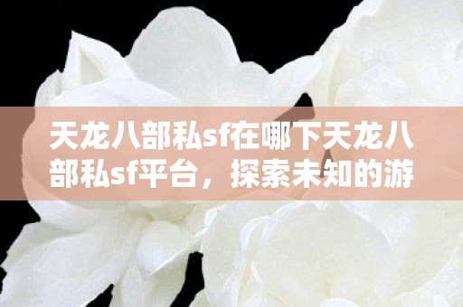 天龙八部私sf在哪下天龙八部私sf平台,探索未知的游戏世界,探索未知游戏世界,天龙八部私sf平台下载指南 天龙八部私sf在哪下天龙八部私sf平台,探索未知的游戏世界,探索未知游戏世界,天龙八部私sf平台下载指南