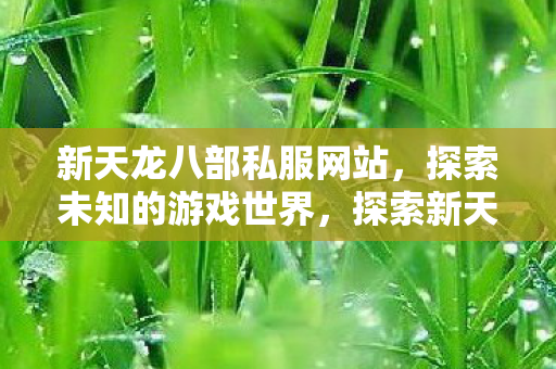 新天龙八部私服网站，探索未知的游戏世界，探索新天龙八部私服网站，解锁未知的游戏世界
