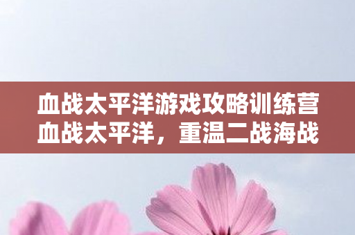 血战太平洋游戏攻略训练营血战太平洋，重温二战海战经典，血战太平洋，重温二战海战经典，游戏攻略训练营等你来挑战！
