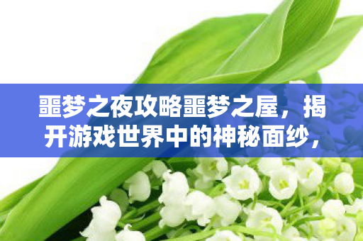 噩梦之夜攻略噩梦之屋,揭开游戏世界中的神秘面纱,噩梦之夜攻略,揭开游戏世界中的神秘面纱 噩梦之夜攻略噩梦之屋,揭开游戏世界中的神秘面纱,噩梦之夜攻略,揭开游戏世界中的神秘面纱