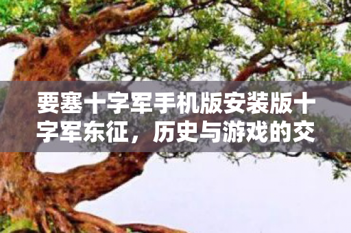 要塞十字军手机版安装版十字军东征,历史与游戏的交织,要塞十字军手机版,历史与游戏的交织,东征之旅开启! 要塞十字军手机版安装版十字军东征,历史与游戏的交织,要塞十字军手机版,历史与游戏的交织,东征之旅开启!