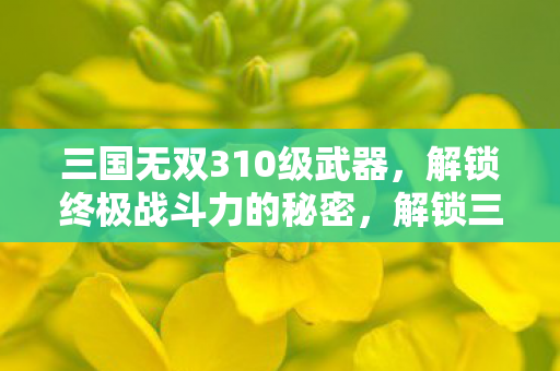 三国无双310级武器，解锁终极战斗力的秘密，解锁三国无双310级武器，终极战斗力的秘密