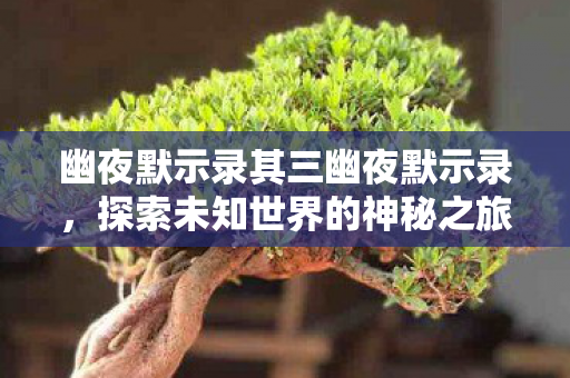 幽夜默示录其三幽夜默示录,探索未知世界的神秘之旅,幽夜默示录其三,探索未知世界的神秘之旅 幽夜默示录其三幽夜默示录,探索未知世界的神秘之旅,幽夜默示录其三,探索未知世界的神秘之旅