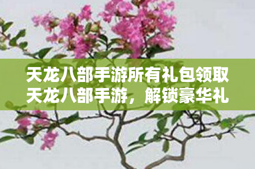 天龙八部手游所有礼包领取天龙八部手游图片