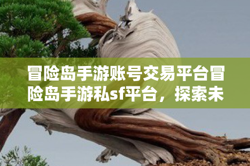 冒险岛手游账号交易平台冒险岛手游私sf平台图片
