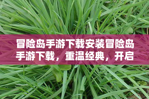 冒险岛手游下载安装冒险岛手游下载图片