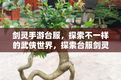 探索不一样的武侠世界图片