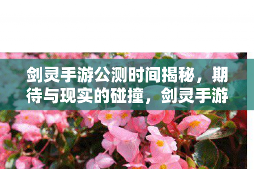 剑灵手游公测时间揭秘，期待与现实的碰撞，剑灵手游公测时间揭晓，期待与现实交汇的盛宴