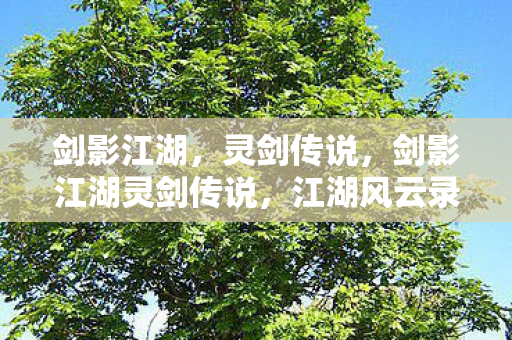 剑影江湖灵剑传说图片