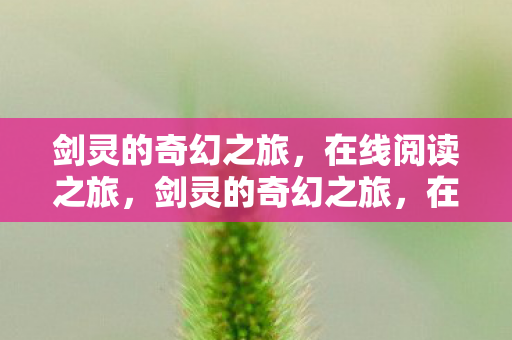剑灵的奇幻之旅图片