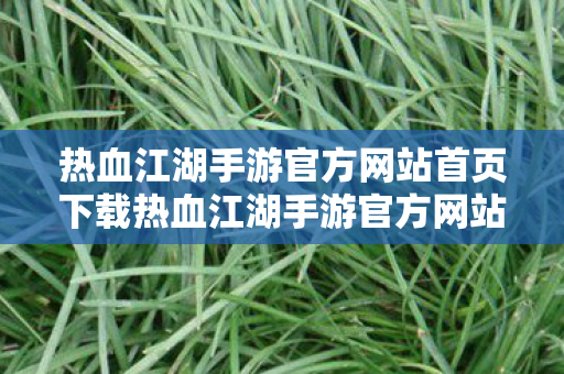 热血江湖手游官方网站首页下载热血江湖手游官方网站首页图片