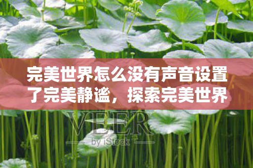 完美世界怎么没有声音设置了完美静谧,探索完美世界声音设置的奥秘,探索完美世界声音设置的奥秘,完美静谧的奥秘何在? 完美世界怎么没有声音设置了完美静谧,探索完美世界声音设置的奥秘,探索完美世界声音设置的奥秘,完美静谧的奥秘何在?