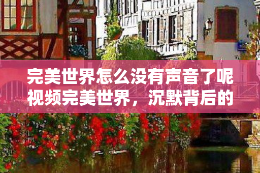 完美世界怎么没有声音了呢视频完美世界图片