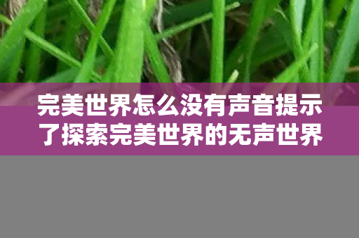 完美世界怎么没有声音提示了探索完美世界的无声世界图片