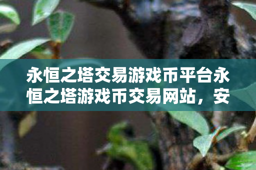 永恒之塔交易游戏币平台永恒之塔游戏币交易网站图片