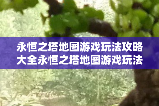 永恒之塔地图游戏玩法攻略大全永恒之塔地图游戏玩法攻略图片