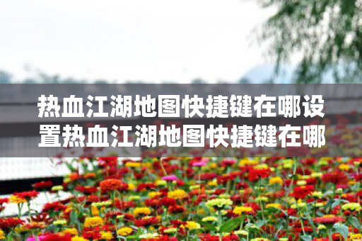 热血江湖地图快捷键在哪设置热血江湖地图快捷键在哪，热血江湖地图快捷键设置方法