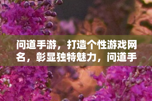 问道手游，打造个性游戏网名，彰显独特魅力，问道手游，打造个性网名，彰显独特魅力