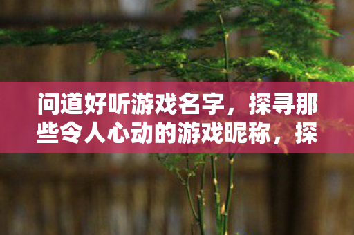 探寻那些令人心动的游戏昵称图片