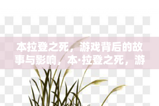 本拉登之死，游戏背后的故事与影响，本·拉登之死，游戏背后的故事与影响