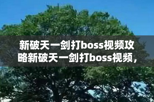 新破天一剑打boss视频攻略新破天一剑打boss视频图片