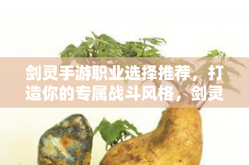 剑灵手游职业选择推荐图片