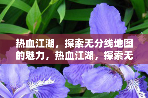热血江湖,探索无分线地图的魅力,热血江湖,探索无分线地图的无限魅力 热血江湖,探索无分线地图的魅力,热血江湖,探索无分线地图的无限魅力